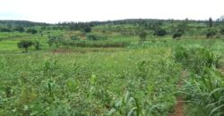 Agriculture Land for sale in Bugesera