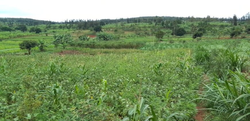 Agriculture Land for sale in Bugesera