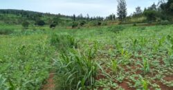 Agriculture Land for sale in Bugesera