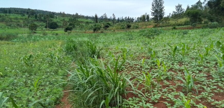 Agriculture Land for sale in Bugesera