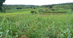 Agriculture Land for sale in Bugesera