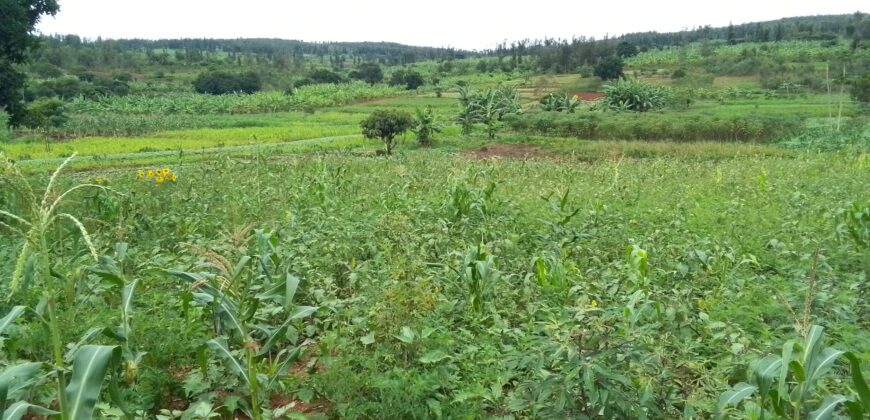 Agriculture Land for sale in Bugesera