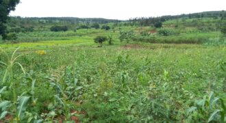 Agriculture Land for sale in Bugesera