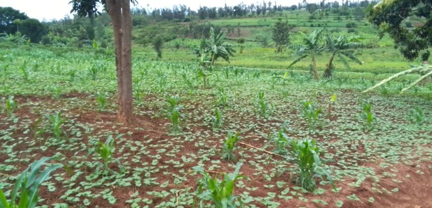 Agriculture Land for sale in Bugesera