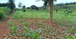 Agriculture Land for sale in Bugesera