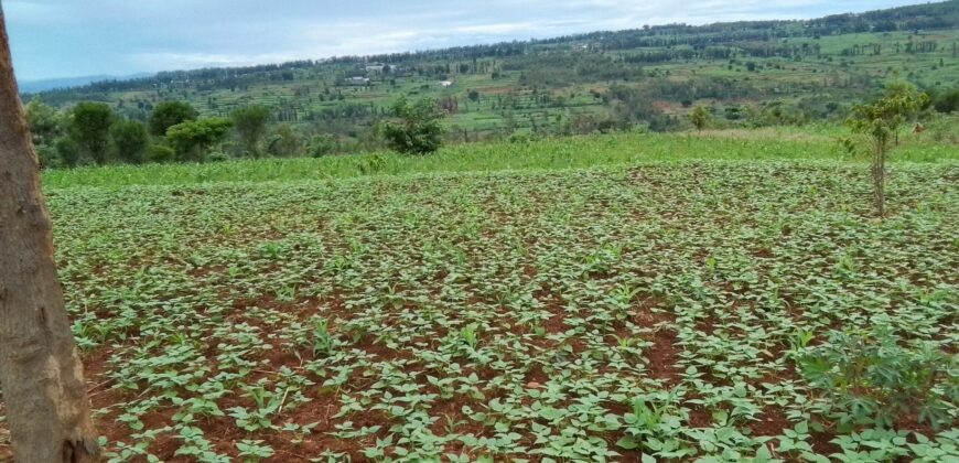 Agriculture Land for sale in Bugesera