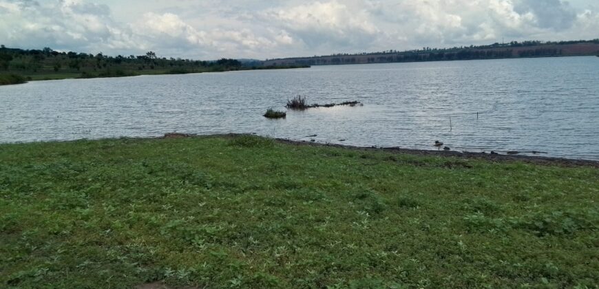 Farmland for sale in Bugesera Rwanda