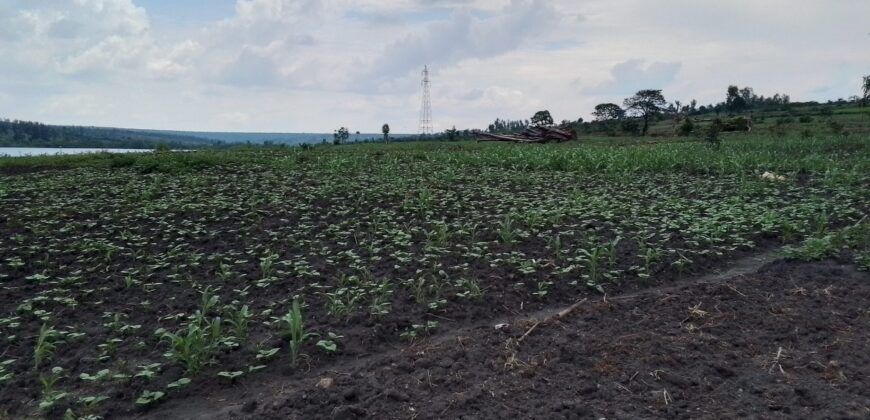 Farmland for sale in Bugesera Rwanda