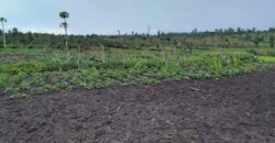 Farmland for sale in Bugesera Rwanda