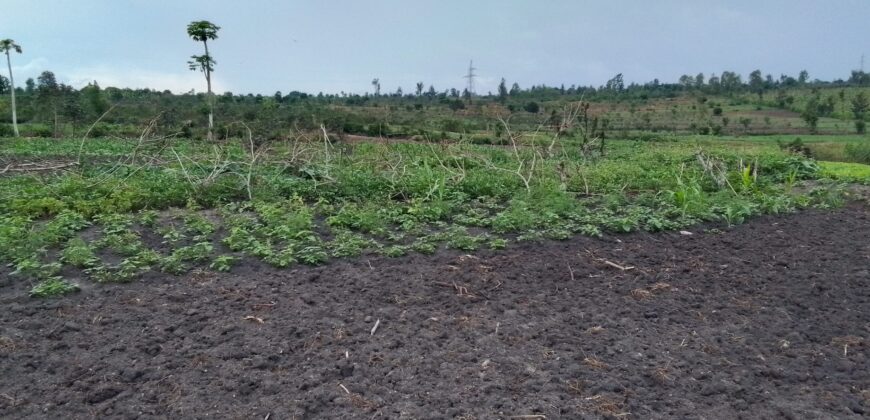 Farmland for sale in Bugesera Rwanda