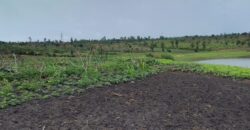 Farmland for sale in Bugesera Rwanda