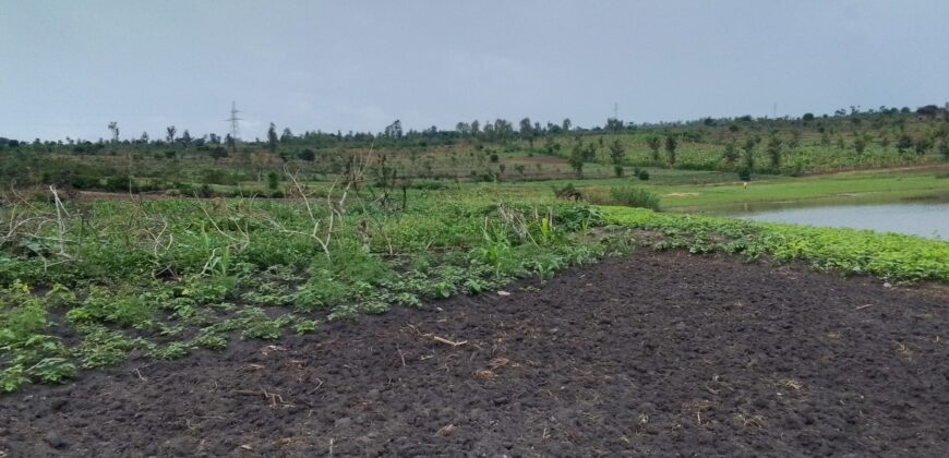 Farmland for sale in Bugesera Rwanda