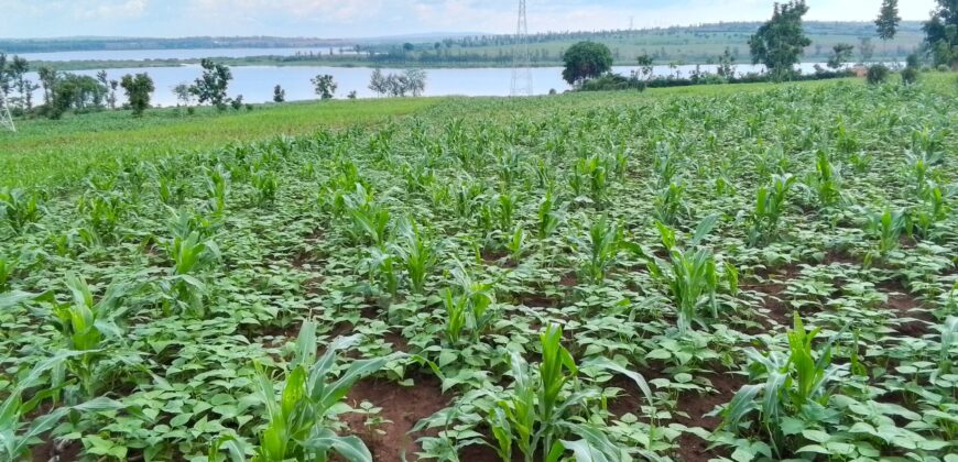 LAKESIDE LAND FOR SALE IN BUGESERA RWANDA