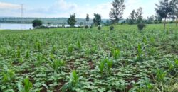 LAKESIDE LAND FOR SALE IN BUGESERA RWANDA