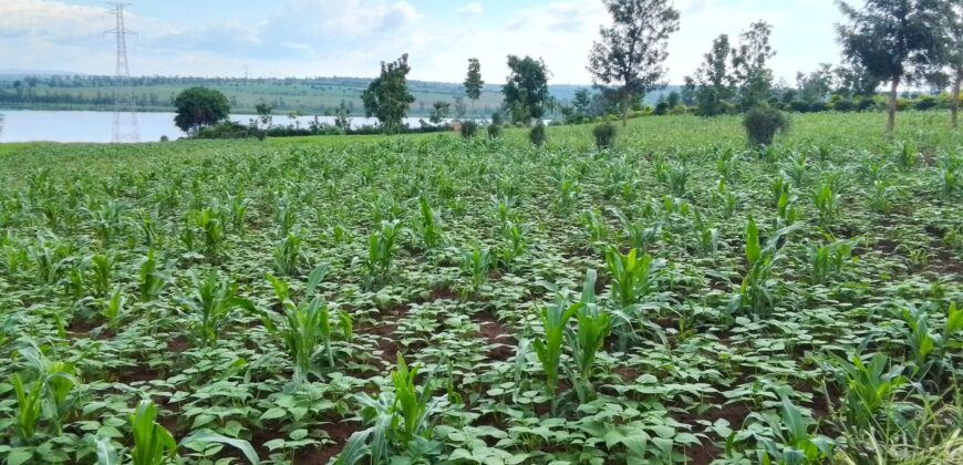 LAKESIDE LAND FOR SALE IN BUGESERA RWANDA