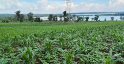 LAKESIDE LAND FOR SALE IN BUGESERA RWANDA