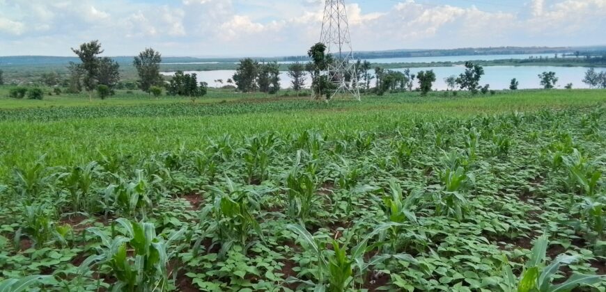 LAKESIDE LAND FOR SALE IN BUGESERA RWANDA