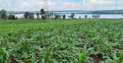 LAKESIDE LAND FOR SALE IN BUGESERA RWANDA