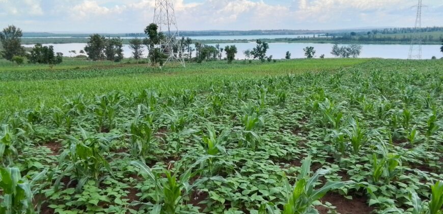 LAKESIDE LAND FOR SALE IN BUGESERA RWANDA