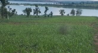 LAKESIDE LAND FOR SALE IN BUGESERA RWANDA