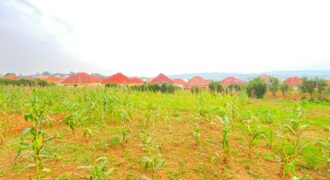 RESIDENTIAL LAND FOR SALE IN BUGESERA NYAMATA