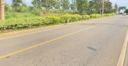 2 Hectares of Land on Main Tarmac Road  for sale in Nyamata Bugesera